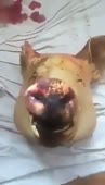 360x626