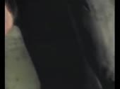 480x360