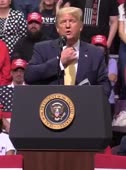 458x614