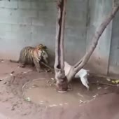 360x360
