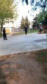 406x720