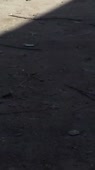 608x1080