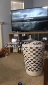 360x638