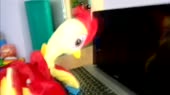 1280x720