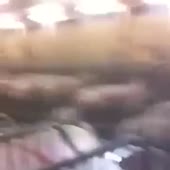 360x360