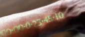 1126x497