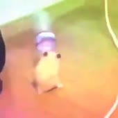 360x360
