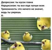 452x438