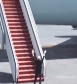576x624
