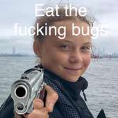 600x600