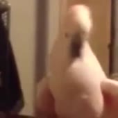 360x360