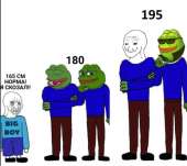 557x496