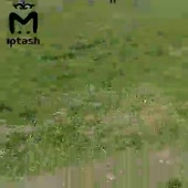 480x480
