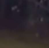 183x179