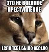 1034x1080