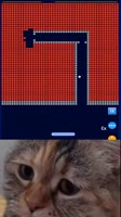460x818