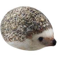 1200x1200