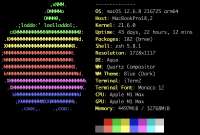 978x662