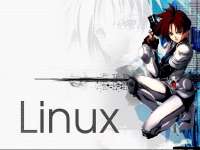 959x720