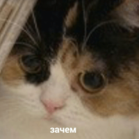 DzJ2bBnG.жипег
