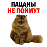 512x512