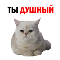 512x512