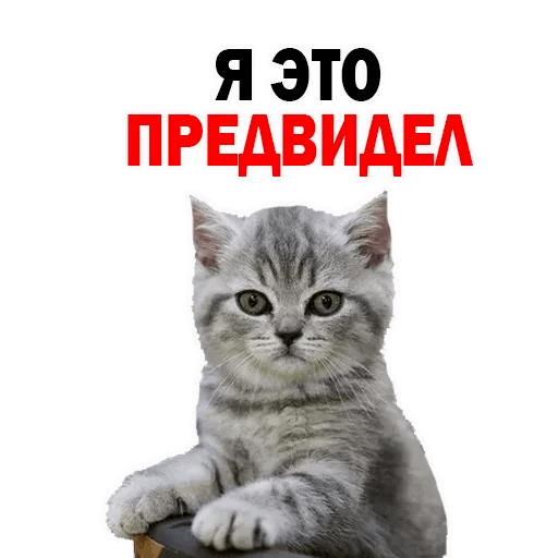 512x512