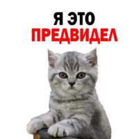 512x512