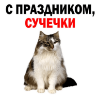 512x512