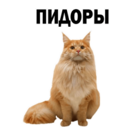 512x512