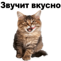 512x512