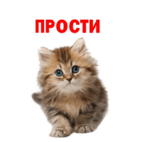 512x512