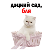512x512