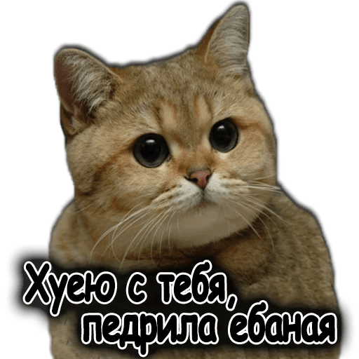 512x512