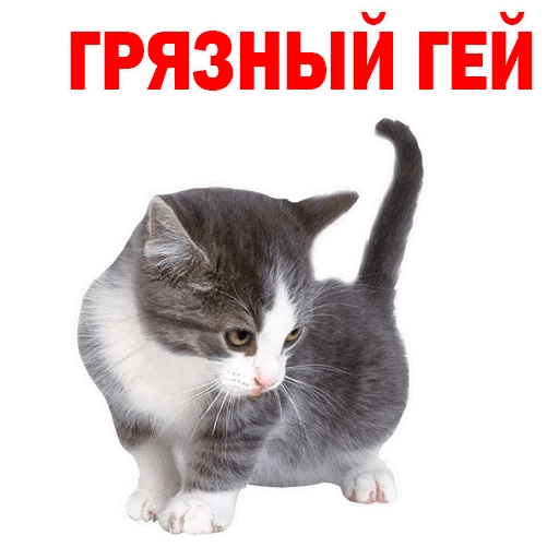 512x512