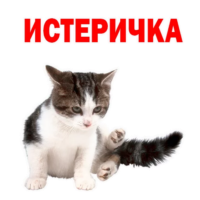 512x512