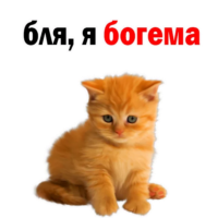 512x512