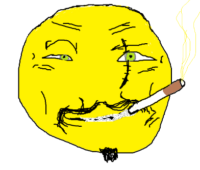 392x334