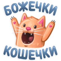 Gly5KQCW.жипег