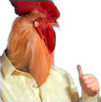 YHzHfstX.жипег