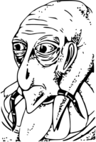 347x512