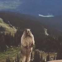 360x360
