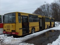 604x453