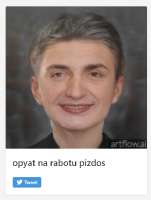 428x564