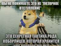 1080x810