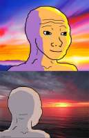 500x772