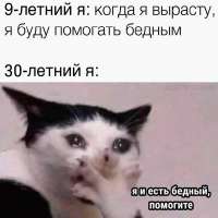 604x604