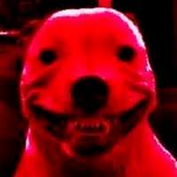 500x500
