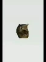 270x360